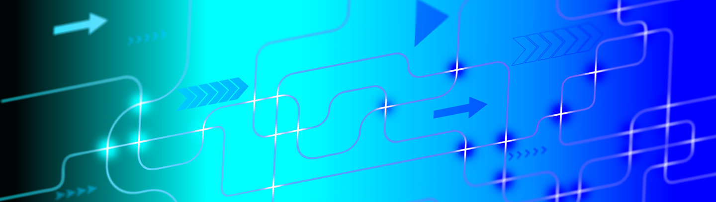 PBE IPSAS: Wellington